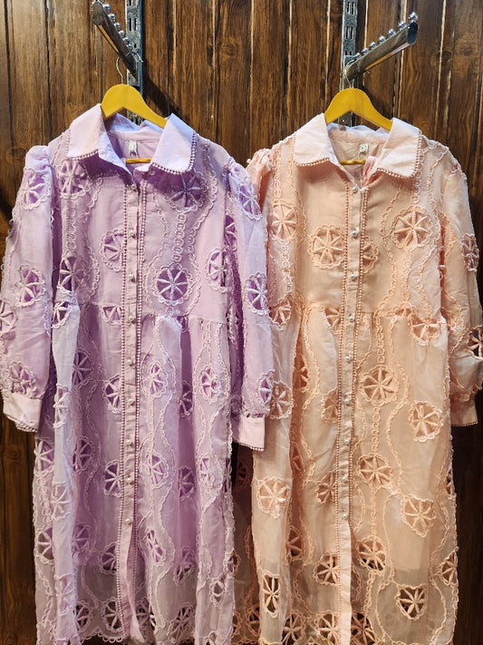Embroidered Button-Up Dress